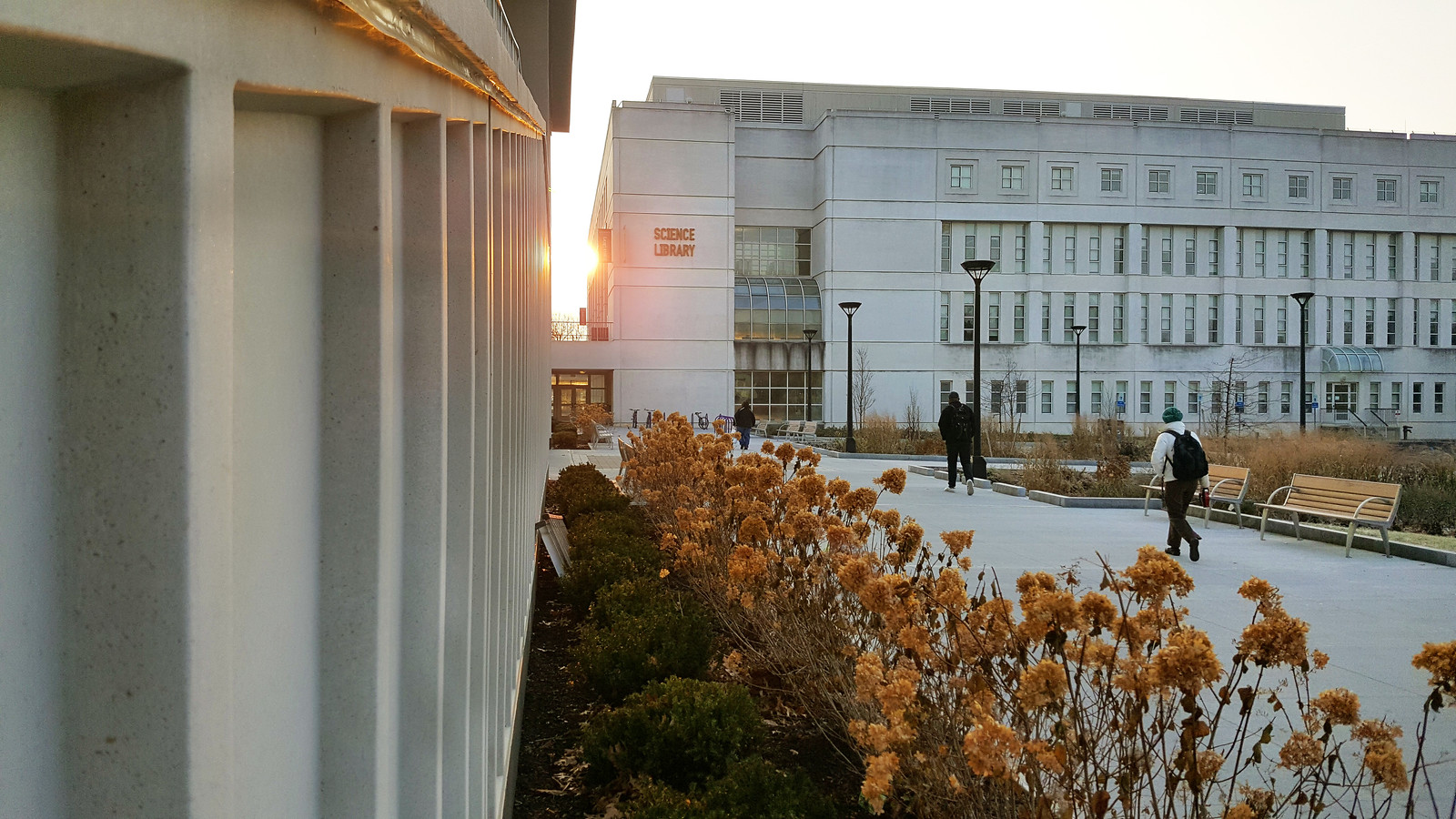 Exterior view of the Science Library