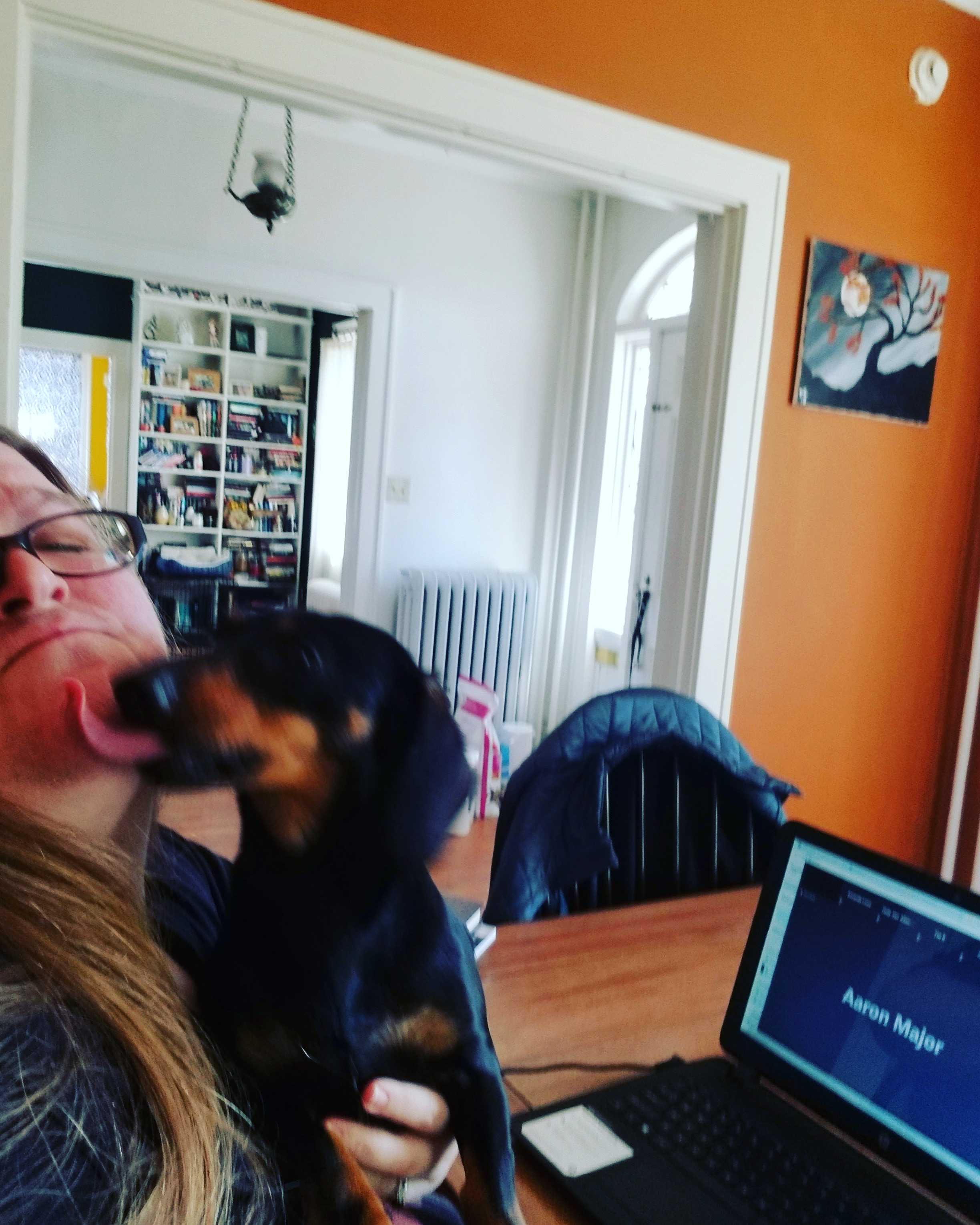 Librarian Amanda Lowe receives a visit from her dog, Tyrion, during a Zoom call.